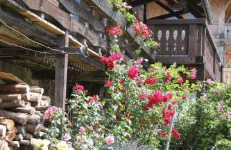 Alter-Kaiserhof - Foto 32