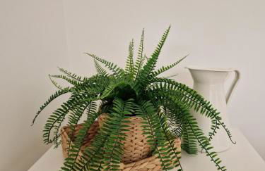 La Villa Iodée - 50 m du bord de mer - Foto 11