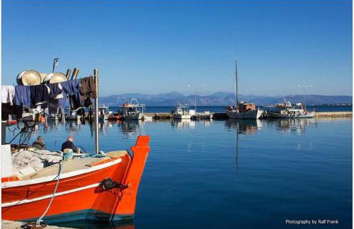 Dimitris House Petriti - Photo 4