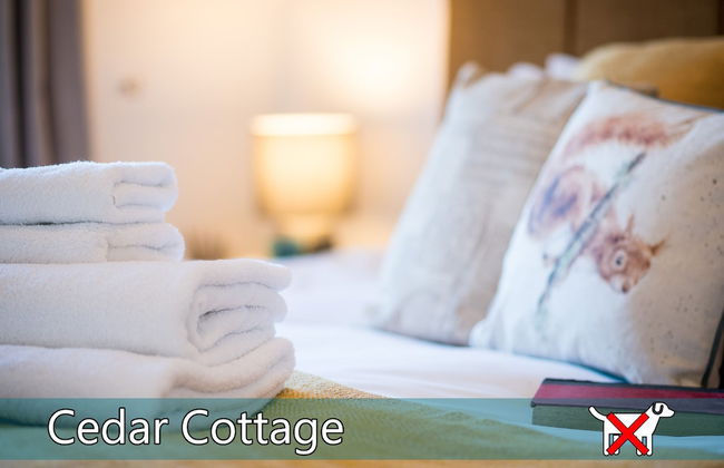 St. Tinney Farm - Photo 45