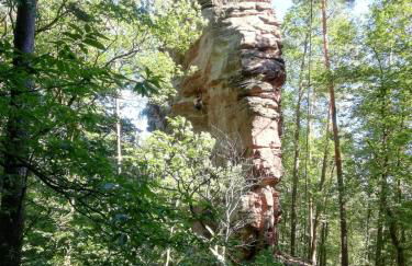 Ferienwohnung Burkhart - Foto 45