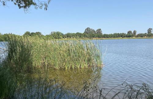 Villa Nooma Alentejo - Foto 6