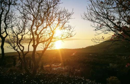 Villa Marija - Foto 15