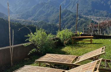 The Passion Fruit House - Photo 55