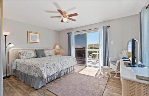 Silver Dolphin - Foto 19