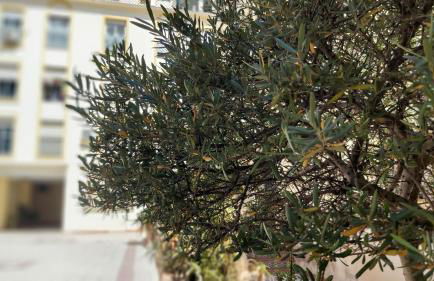 Del Parque Flats Victoria Family - Foto 24