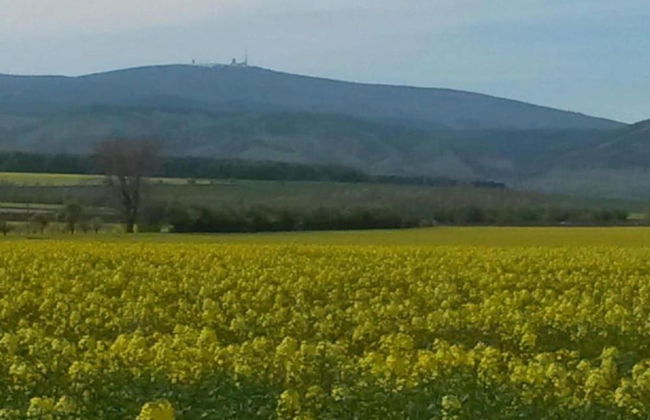 Ferienhaus in Blankenburg - Foto 33