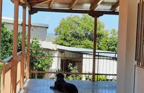 Georgia's Village House - Foto 35