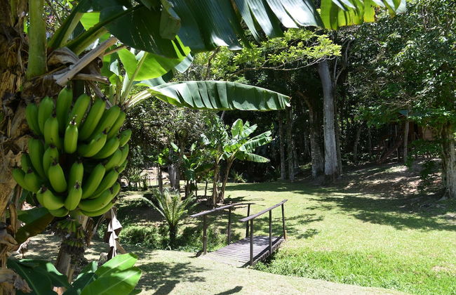 Pousada Sitio Olho Dagua - Foto 40