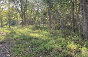 Cabin 1 Remote cabin next to Sam Houston National Forest - Foto 18
