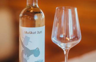 Holiday Home Wine & Relax Sveti Martin na Muri - Foto 10