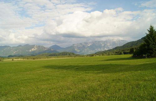 Gästehaus Café Habersetzer - Foto 14