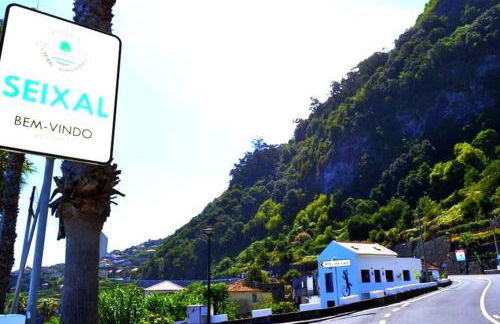 Lazy Lizard Studio - Foto 1