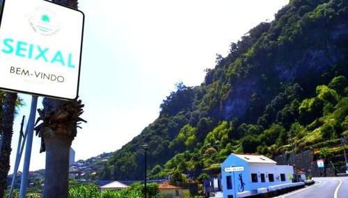 Lazy Lizard Studio - Foto 1