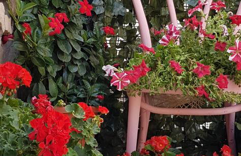 Apartment Tomecek - Foto 19