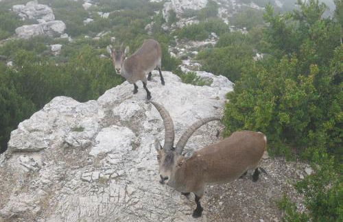 La Caseta del Port - Foto 30