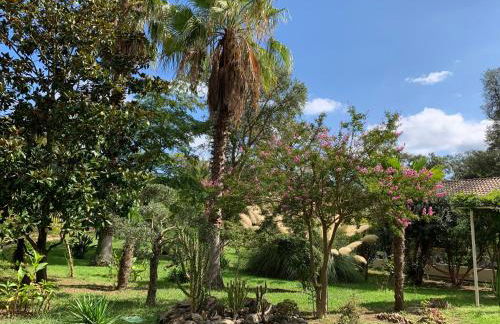 Résidence EMILIA - Foto 62