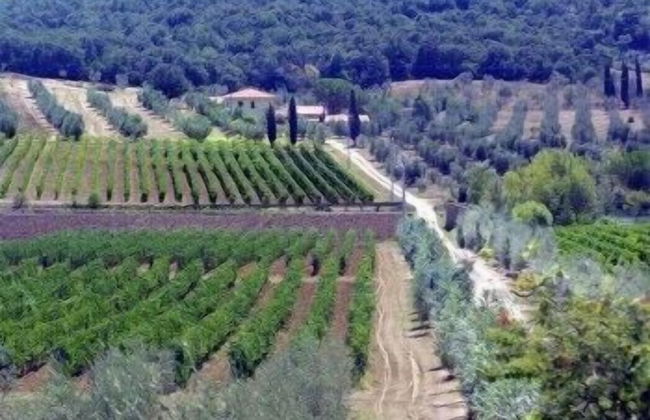 Bulichella - Foto 47