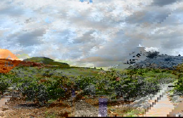 Tenuta Lanza Il Mulino - Photo 25