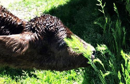 Secluded Farm Stay for a Perfect Oregon Glamping Experience - Foto 32