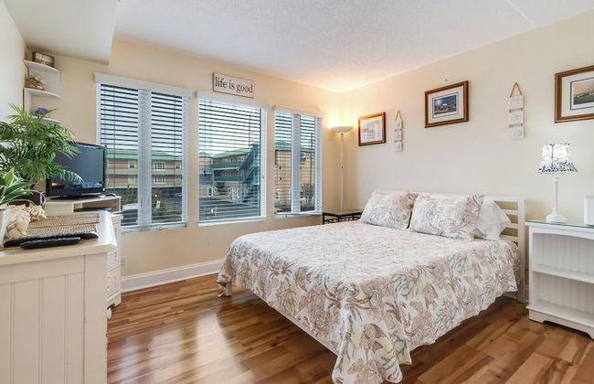 THE Opal S202 - Foto 8