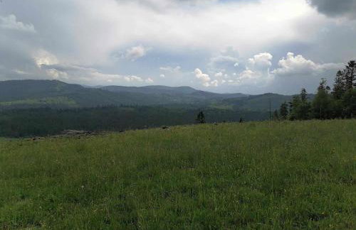 Olberówka - Foto 37