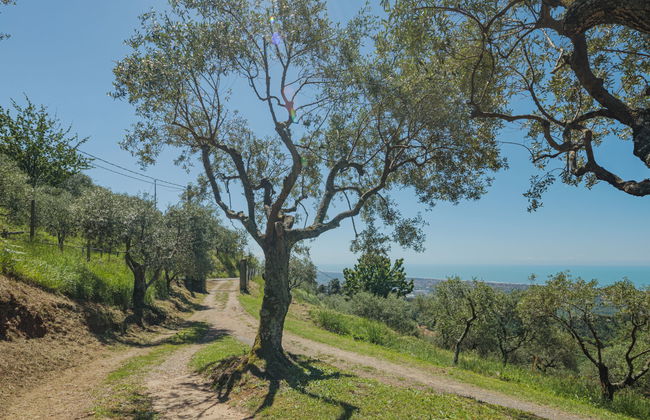 Di Carlino - Foto 30