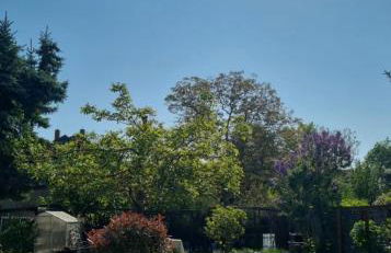 CT Apartment Wurzen - Foto 38