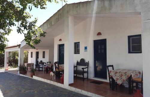 Horta do Muro - Foto 6