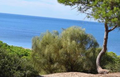 Apartamento Playa de Punta Candor - Foto 43