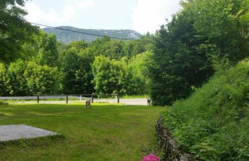 Holiday Home with Three Bedrooms and Garden - Photo 43