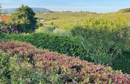 Villa das Vinhas - Photo 14