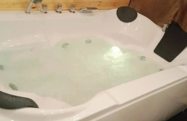 orchid huts - Photo 32