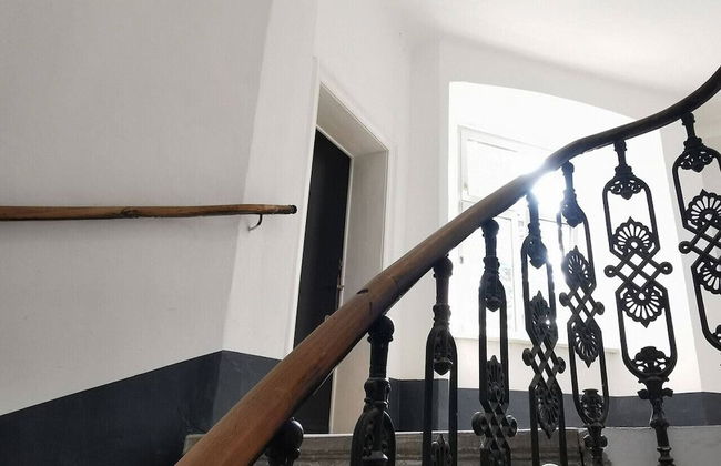 Yellow Palm - Foto 19