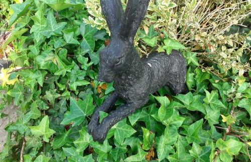 Woodpecker Cottage - Photo 6