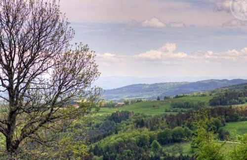 Gîte confortable pour 6 près des pistes, animaux admis - FR-1-496-138 - Foto 23