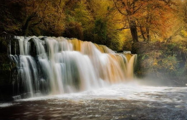 43 Bbescapes - Foto 60