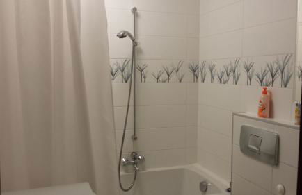 Wohnung am Grünen, Nähe Stadtzentrum und Hauptbahnhof, WLAN inklusive - Foto 3