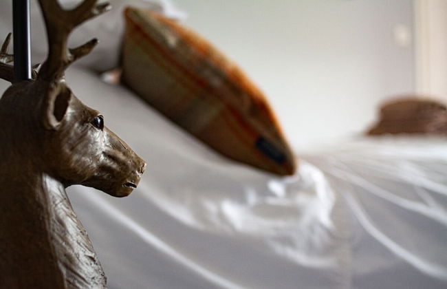 Luib House - Foto 24