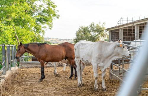 Agriturismo Al Girasole - Foto 26