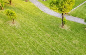 Welcoming Villa with Mountain View in Sobradelo da Goma - Foto 31