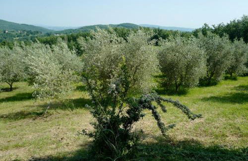 Villa di Piera - Foto 50