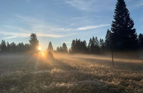 Stube9 am Feldberg, direkt an der Skipiste, Ski in-Ski out - Photo 51