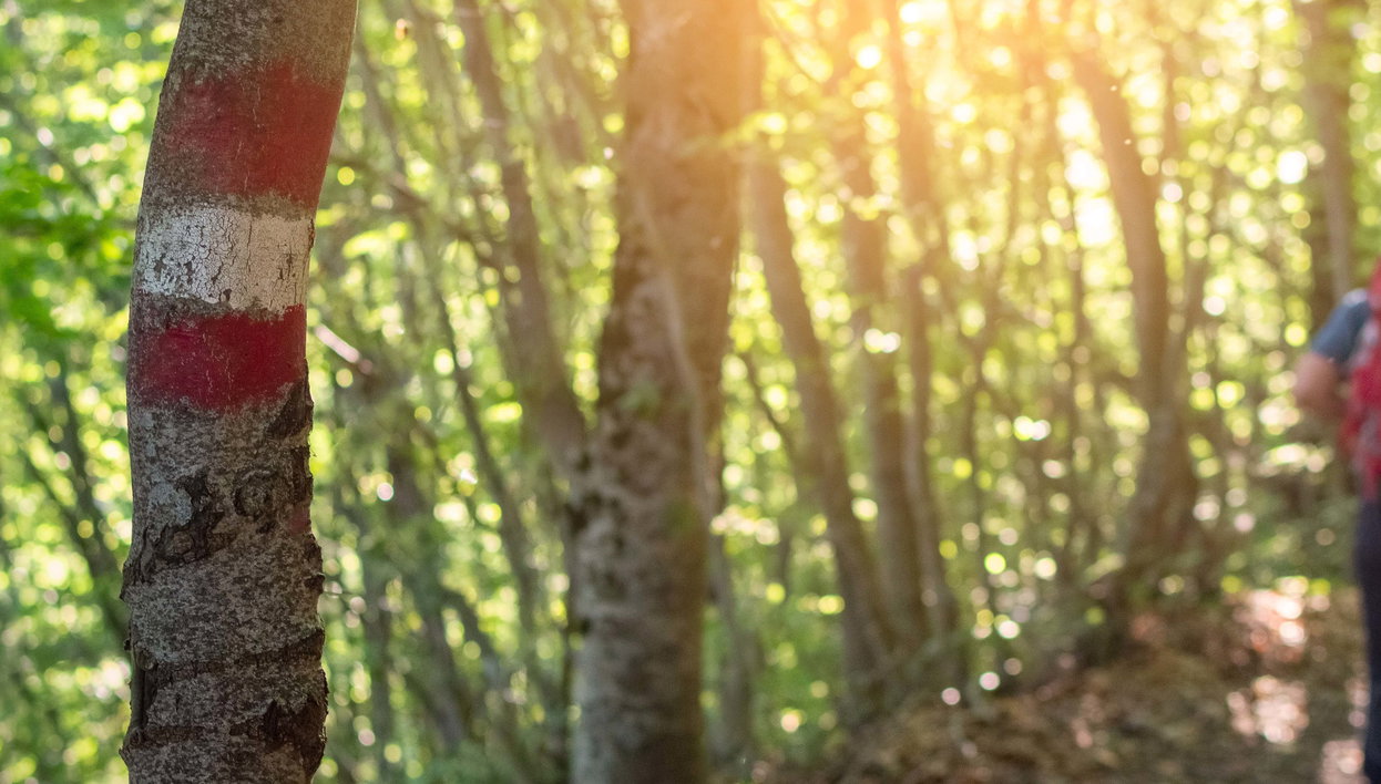 Randonnée dans Bertioga + Balade en bateau - Photo 1, Randonnée dans Bertioga + Balade en bateau