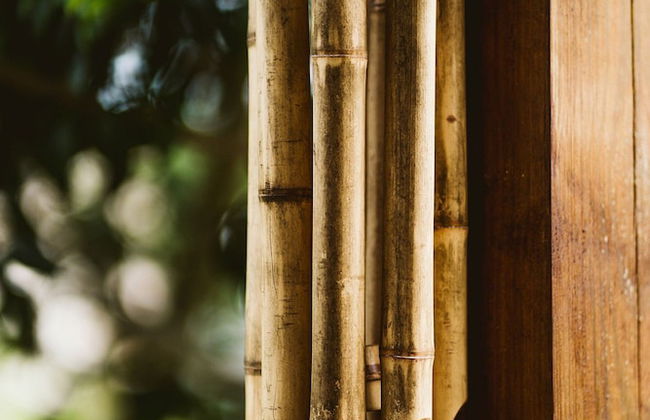 Casa Elua - Ibiraquera - SC - Foto 66