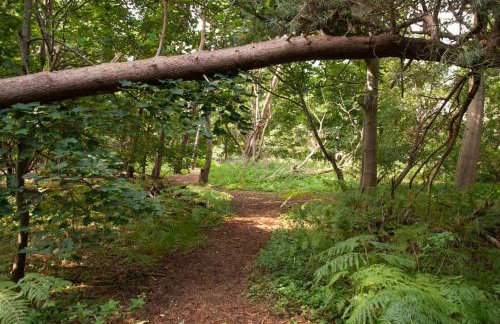 Laundry Cottage in a Nature Reserve - Sunday Times 100 coolest Cottages - Foto 8
