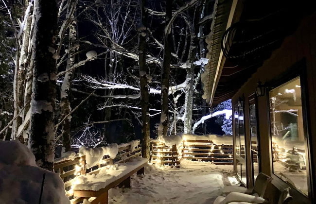 Hauser's Bayfield Cabin - Foto 46