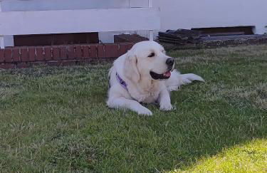 Ferienwohnung Ostseeclick - Foto 24