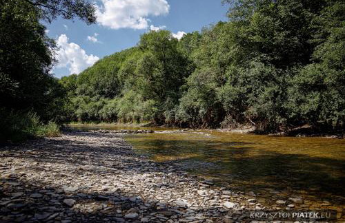 Chatka nad Osławą - Foto 10