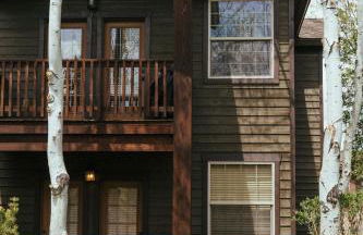 Large & Updated Driggs Condo Close to Town! 40 miles to Grand Teton! - Foto 28